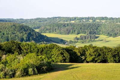 First new national forest in 30 years to be planted in west of England