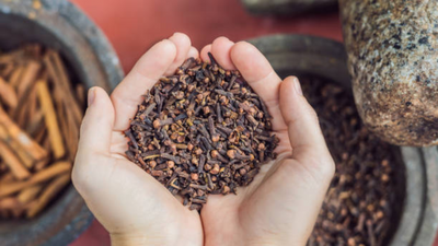 Clever ways to add cloves to daily routine and speed up weight loss