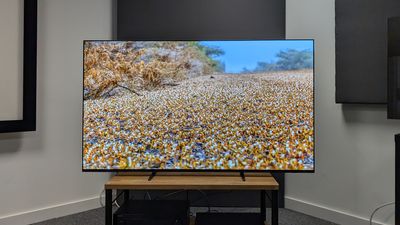 Philips OLED810 vs Sony Bravia 8: how do they compare?