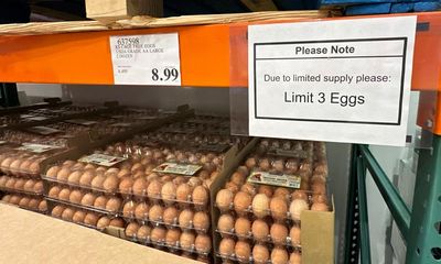 ‘Eggflation’ sending US shoppers to Mexico – where $300 fines await