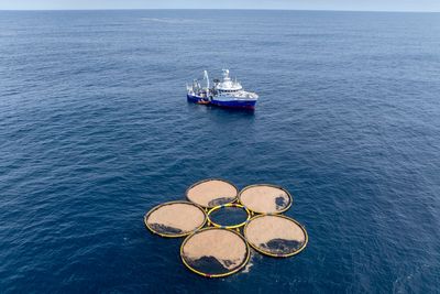 Takeaways from Associated Press report on efforts to capture carbon in the ocean