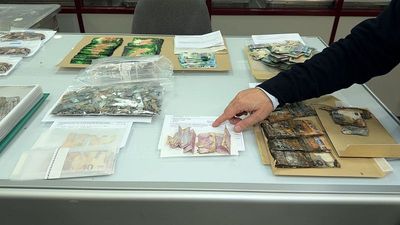 Stash the cash: How burying money cost Portugal millions of euros in the last decade