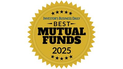 Best Mutual Funds 2025: See The Benchmark-Beating Funds In Every Category