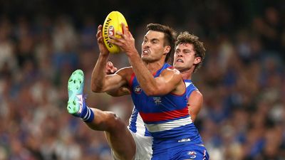 Bulldog Sam Darcy's towering star keeps on rising