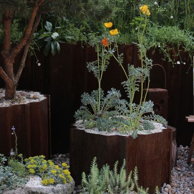 I've always been a fan of corten steel planters, but this year, the garden trend is taking over Pinterest – here's the trick to styling them