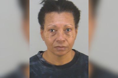 Florida Woman Blocked From Boarding Plane With Dog Drowns Pet in Airport Bathroom: Police