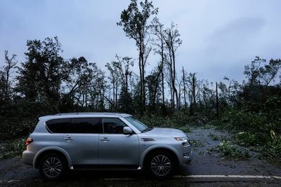 Georgia lawmakers approve $300M in farm and timber tax breaks after Hurricane Helene