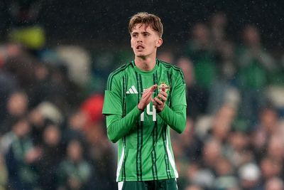 Michael O’Neill hails ‘brilliant’ Isaac Price after goal against Switzerland