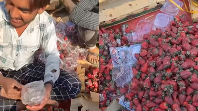 Viral: Rotten, fungus-grown strawberries cleaned and repackaged- Watch video