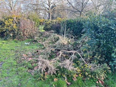 Residents call for Finsbury Park to close at night over sex and drug use