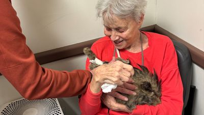 ​​Reunion between 82-year-old and her cat after Palisades fires goes viral and raises over $35,000