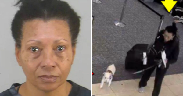 Woman Cold-Heartedly Ends Her Dog’s Life After Being Denied Boarding With It