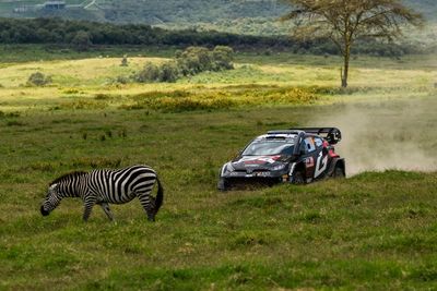 Zebra avoidance triggers costly puncture for Rovanpera as Evans takes WRC Safari command