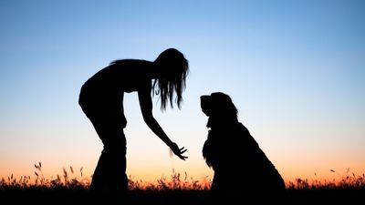 Can animals understand human language?