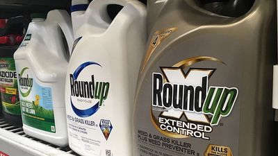Bayer ordered to pay €1.9 billion by US court in Roundup cancer case