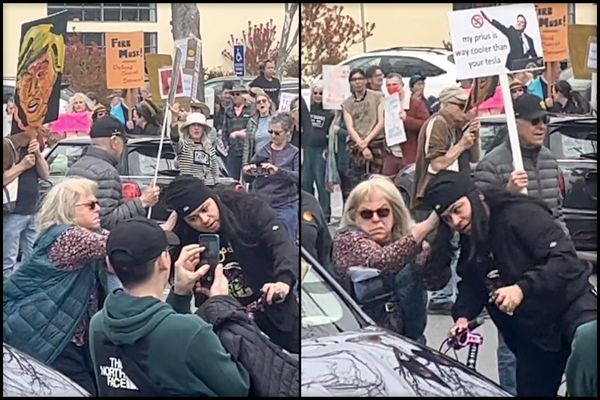 WATCH: Trump Supporter Threatens Tesla Protestors With Taser, Gets Taken Down by College Professor