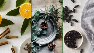 Looking for the perfect Christmas gift? These are The White Company's best-selling home scents