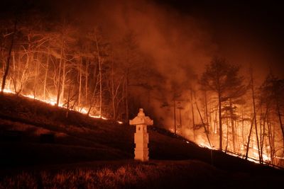 At least 24 dead and ancient temple destroyed as South Korea hit by ‘worst wildfires ever’