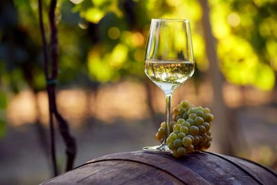 Virgin Wines toasts sharp rise in customers and plots new app launch