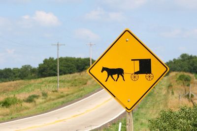 Girl, 8, and horse killed after ‘DUI driver’ crashes into Amish buggy in Michigan