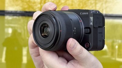 Canon RF-S 14-30mm f/4-6.3 IS STM PZ review: THE must-have lens for APS-C content creators