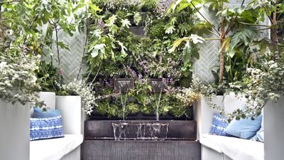 Small raised beds can transform compact city plots and balcony gardens – expert advice for the best shapes and plants to maximize growing potential