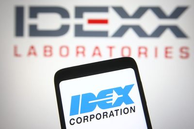 How Is IDEX's Stock Performance Compared to Other Industrial Stocks?