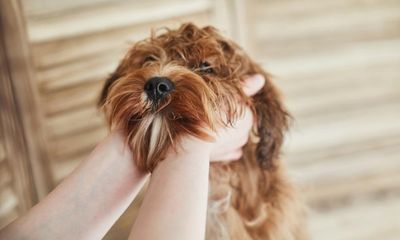 Gigil: word for ‘cute aggression’ among new Oxford English Dictionary entries