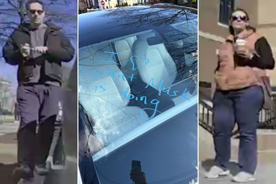 Anti-Elon Musk Remarks Labeled as 'Hate Speech' by DC Police in Latest String of Tesla Vandalism