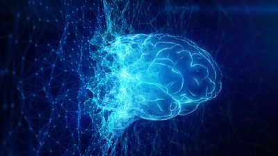 Current AI models a 'dead end' for human-level intelligence, scientists agree
