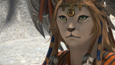 'I can't really say what they were thinking' says whistleblowing modder, as Final Fantasy 14's attempt to thwart stalkers falls terribly short of the mark