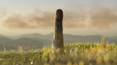 'They are life, but not as we now know it': 26-foot organism that lived 420 million years ago is completely unknown branch of animal kingdom