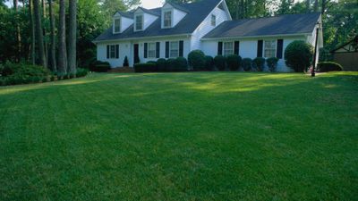 How to fix a muddy lawn – 3 ways to boost drainage and prevent pooling, as recommended by lawn experts