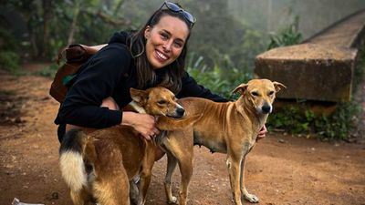 ‘This figure is just the start’: Animal charity celebrates 1,000th life-changing surgery in Sri Lanka