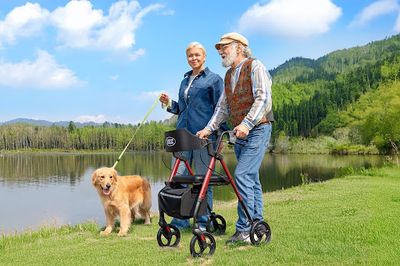Spring Into Motion: Why Rollator Walkers Are A Game-Changer For Seniors