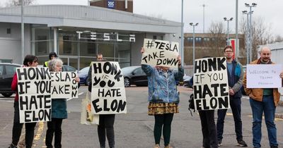 'Honk if you hate Elon': M8 drivers give verdict on Elon Musk amid Tesla protests