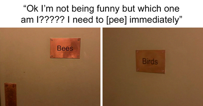 50 Funny Memes To Bring Some Much-Needed Laughter Into Your Life (New Pics)