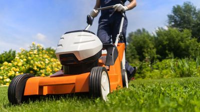 Is it too early to mow: Experts share when to give your lawn its first cut in spring