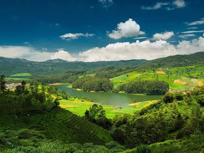 8 ways to make the most of Ooty this summer