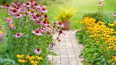 Gardening pros share 7 low-maintenance backyard ideas for maximum impact without the toil
