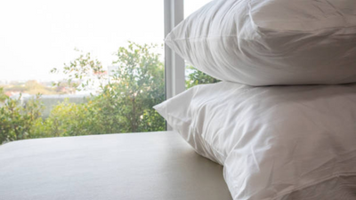 Pillow cases carry more bacteria than a toilet seat: This is the right time to replace them