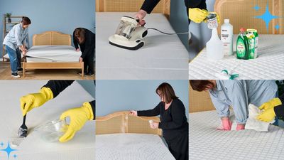 How to clean a mattress — expert tips for urine, bed bugs, sweat and more