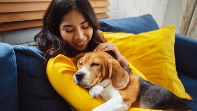 There’s a vitamin that can be toxic to cats and dogs, and it really surprised us!