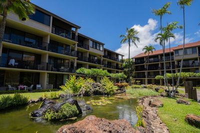 Maui mayor's plan to phase out vacation rentals would increase housing but shrink the economy