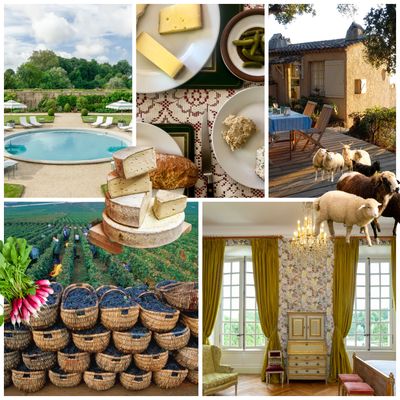 Escape to the Loire Valley's Best-Kept Secret This Spring