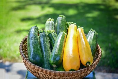 Garden your way out of Trump's economy
