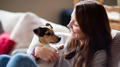 Vet shares six simple tips for keeping new puppies happy, healthy and safe