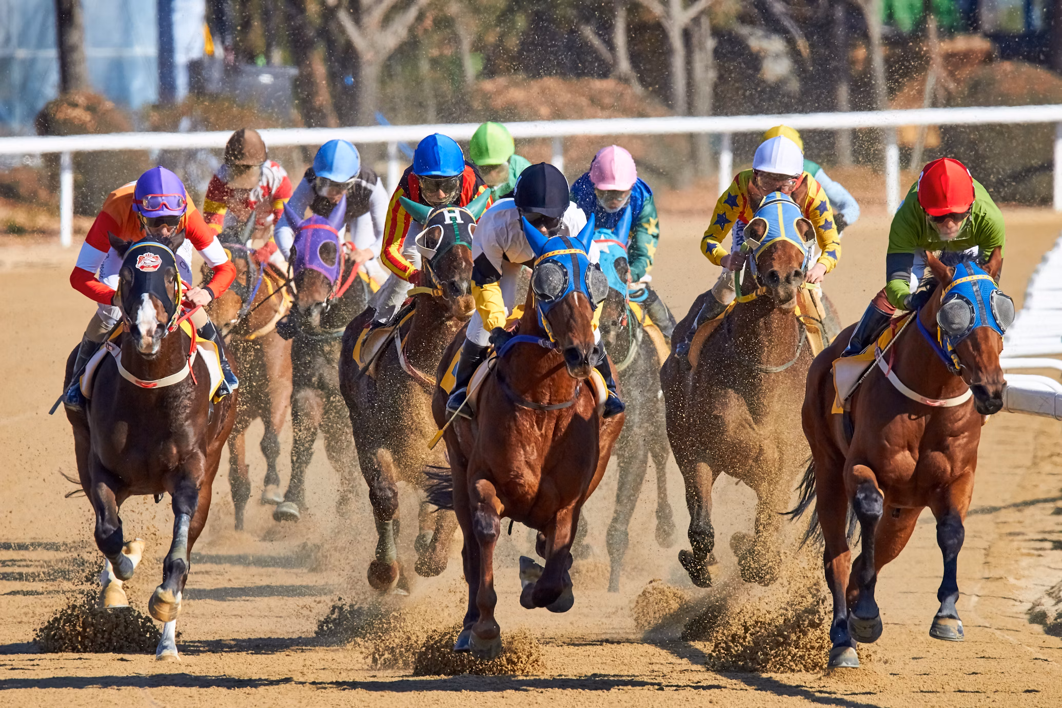 Betting on the Kentucky Derby: Strategies for Novices and Seasoned Punters