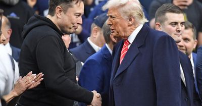 Elon Musk will take a step back, Donald Trump tells inner circle