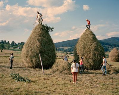 Big, biodiverse and beautiful: can Romania’s centuries-old giant haystacks survive modern farming?
